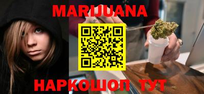 индика Пенза