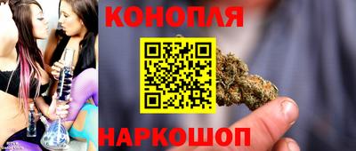 индика Пенза