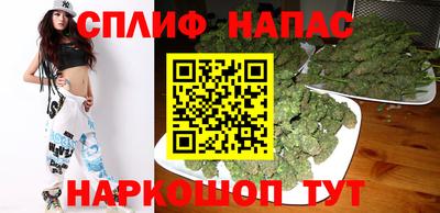 индика Пенза