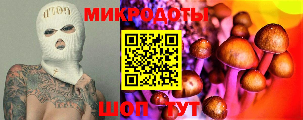 Галлюциногенные грибы Cubensis  Вход с VPN  Тайшет 